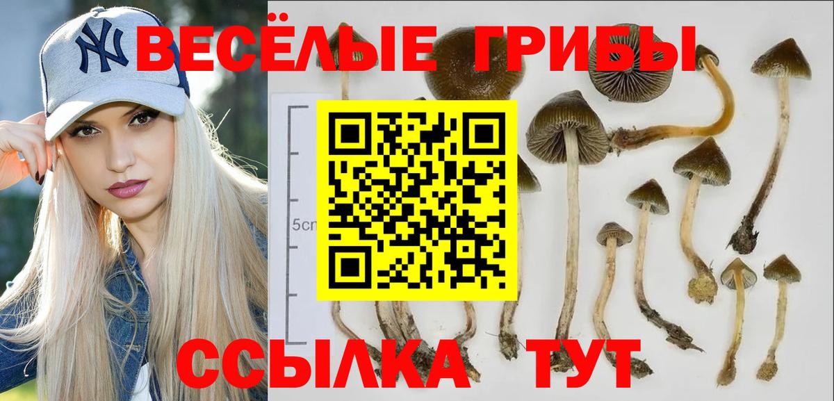 Галлюциногенные грибы Cubensis Еманжелинск