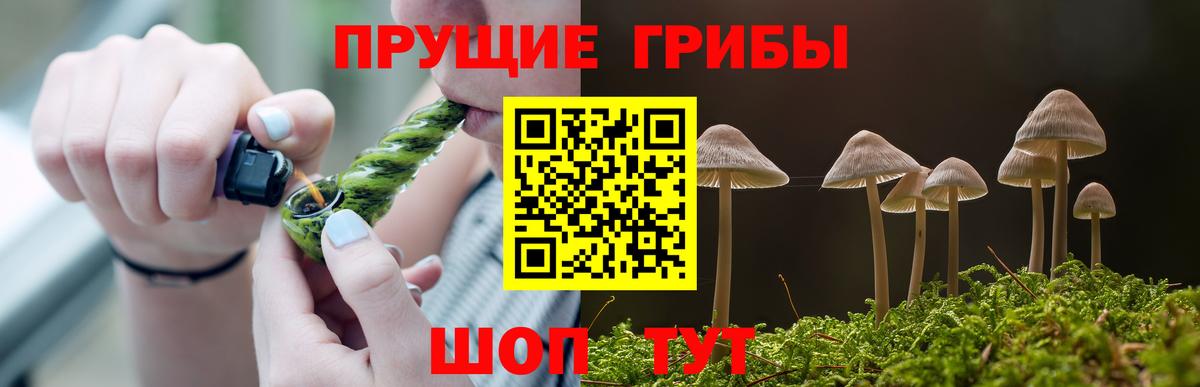 продажа наркотиков  Галлюциногенные грибы прущие грибы  Вход с VPN  Еманжелинск 
